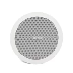 BOSE AudioPack Pro C6W